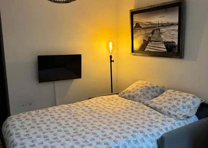Appartement Cosy Face A La Basilique Saint Remi