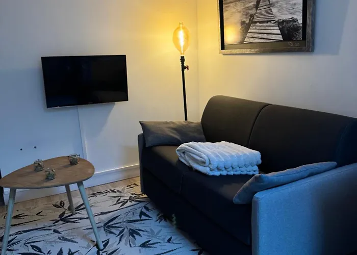 Appartement Cosy Face A La Basilique Saint Remi